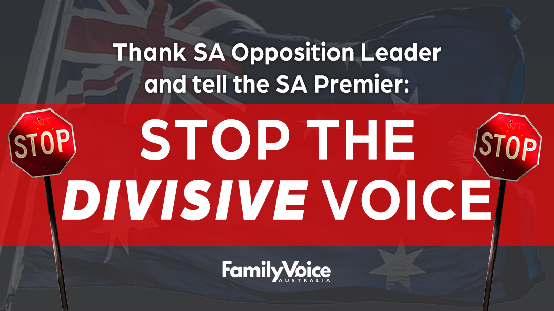 SA Stop Divisive Voice 1080p