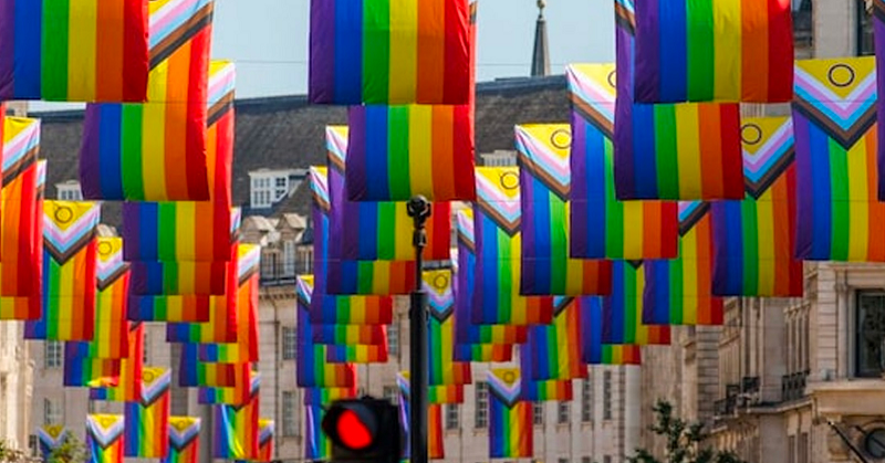 rainbowflags800px
